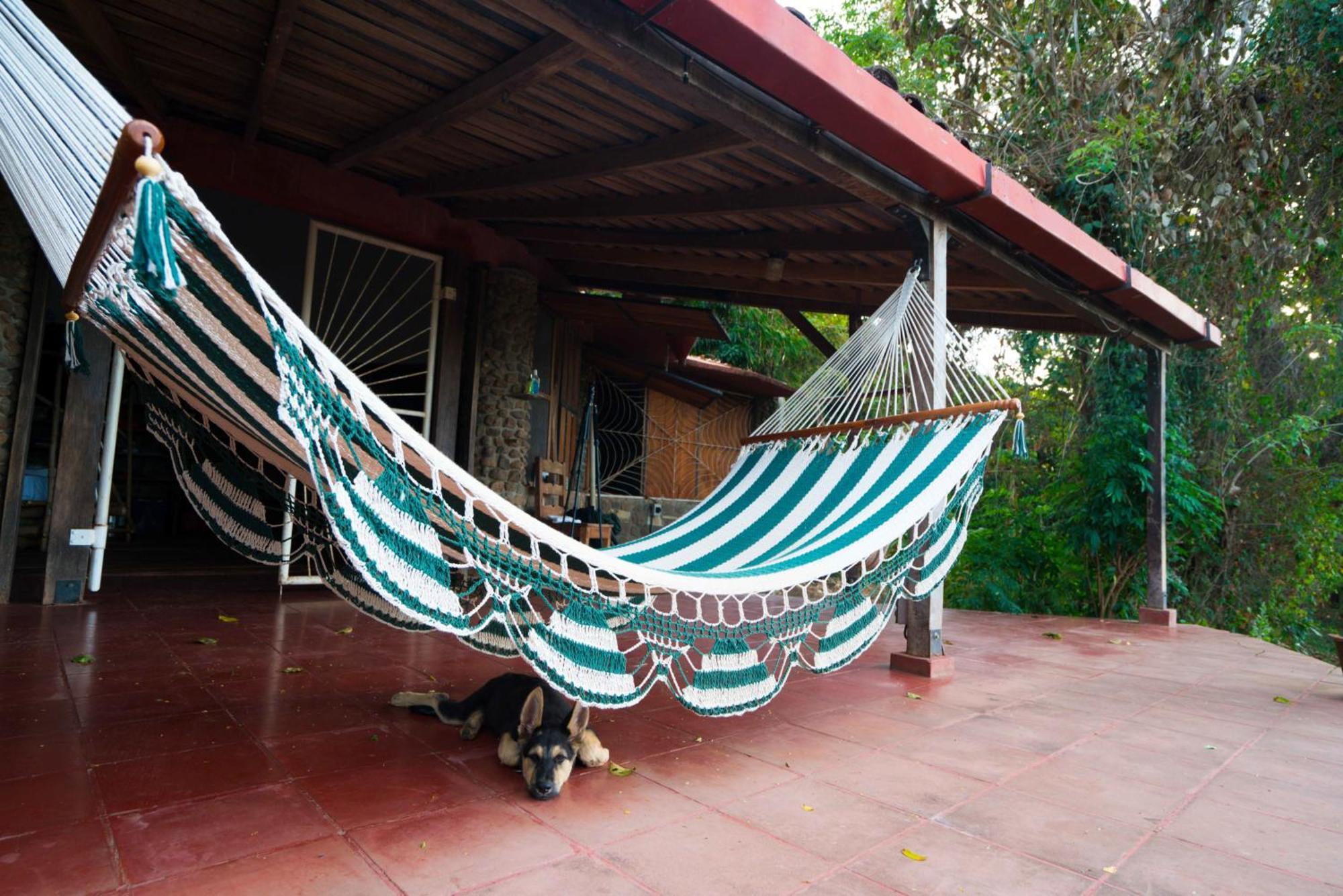 Selvista Guesthouses Balgue 객실 사진